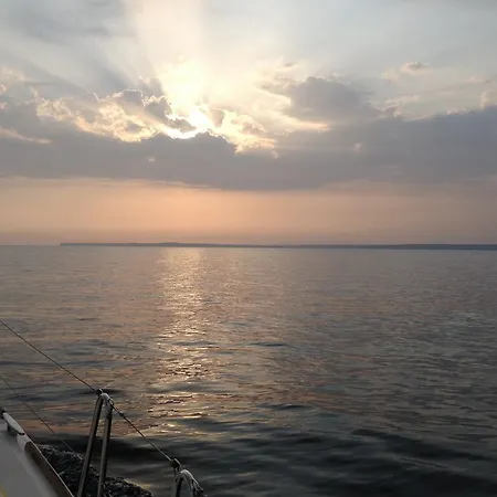 Marina De - *